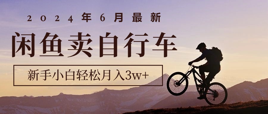 （10915期）2024年6月全新淘宝闲鱼单车，新手入门轻轻松松月收入3w 新项目-小i项目网