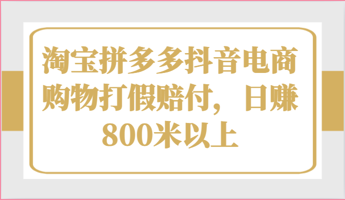 淘宝拼多多抖音电商购物打假赔付，日赚800米以上-小i项目网