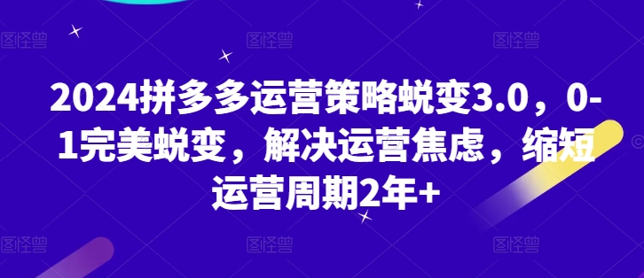 2024拼多多运营对策成长3.0，0-1华丽蜕变，处理经营焦虑情绪，减少运营周期2年-小i项目网