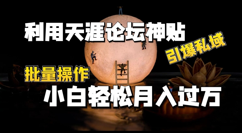 运用天涯社区神贴，点爆公域，批量处理，新手轻轻松松月入了w【揭密】-小i项目网