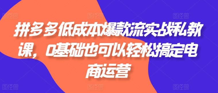 拼多多平台降低成本爆品流实战演练私教，0基本还可以轻松解决网店运营-小i项目网