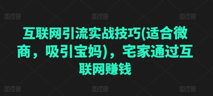 互联网引流实战经验(适宜微商代理，吸引住宝妈妈)，蹲在家里根据网络赚钱-小i项目网