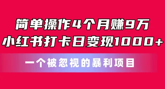 易操作4个月赚9w，小红书的打卡签到日转现1k，一个被忽略的暴力新项目【揭密】-小i项目网