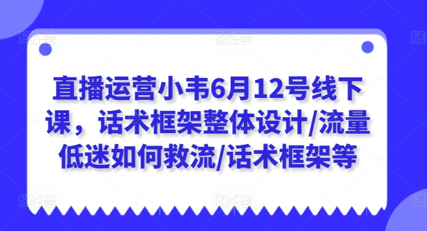 抖音运营小韦6月12号面授课，销售话术架构一体化设计/总流量不景气怎样救流/销售话术架构等-小i项目网