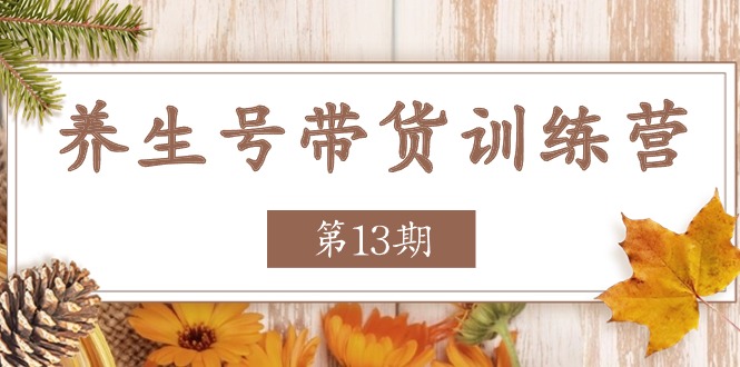 健康养生号卖货夏令营【第13期】盈利更稳定的游戏玩法，使你卖货盈利发生爆炸-小i项目网