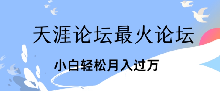 点爆公域运用最红话题讨论天涯社区、新手轻轻松松月入了w-小i项目网