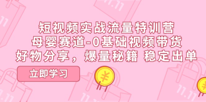 （11373期）短视频实战流量特训营，母婴赛道-0基础带货，好物分享，爆量秘籍 稳定出单-小i项目网