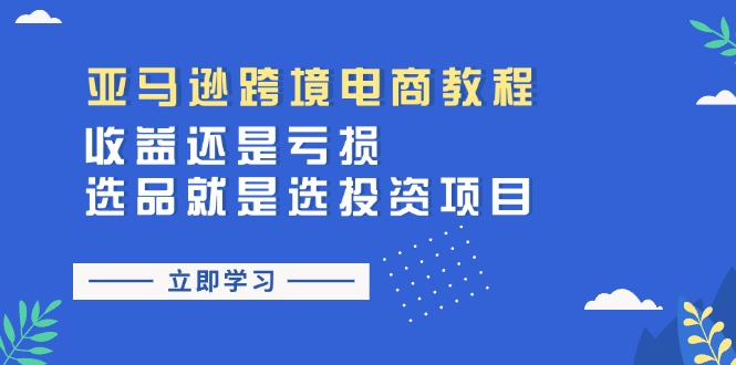 （11432期）亚马逊跨境电商教程：收益还是亏损！选品就是选投资项目-小i项目网