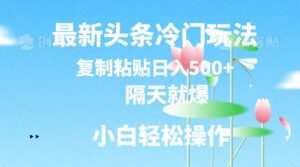 最新头条冷门玩法，隔天就爆，复制粘贴日入500+-小i项目网