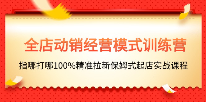 （11460期）全店动销-经营模式训练营，指哪打哪100%精准拉新保姆式起店实战课程-小i项目网