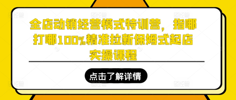 全店动销运营模式夏令营，指哪打哪100%精确引流跟踪服务出单实操课程-小i项目网