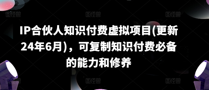 IP合作伙伴社交电商虚拟资源项目(升级24年6月)，复制推广社交电商必不可少能力与涵养-小i项目网