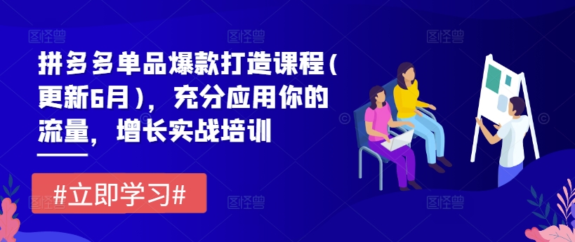 拼多多平台品类爆款打造课程内容(升级6月)，充分应用你的流量，提高实战培训-小i项目网