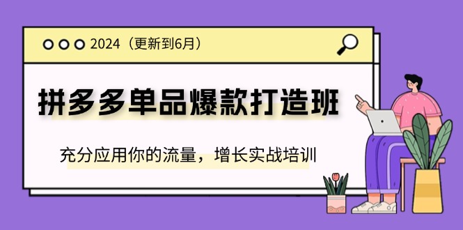 （11556期）2024拼多多平台-品类爆款打造班(升级6月)，充分应用你的流量，提高实战培训-小i项目网