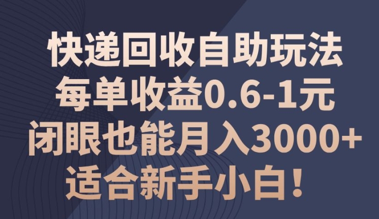 快递回收自助式游戏玩法，每一单盈利0.6-1元，闭上眼也可以月入3000 !适宜新手入门!-小i项目网