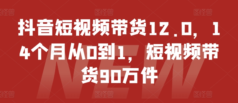 抖音小视频卖货12.0，14个月从0到1，短视频卖货90千件-小i项目网