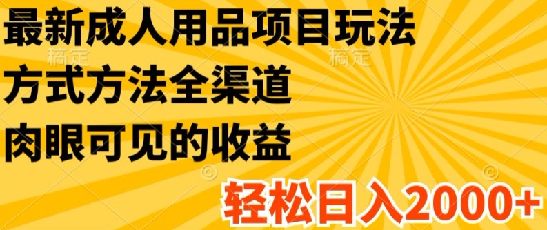 全新两性用品新项目游戏玩法，具体方法新零售，轻轻松松日入2K 【揭密】-小i项目网