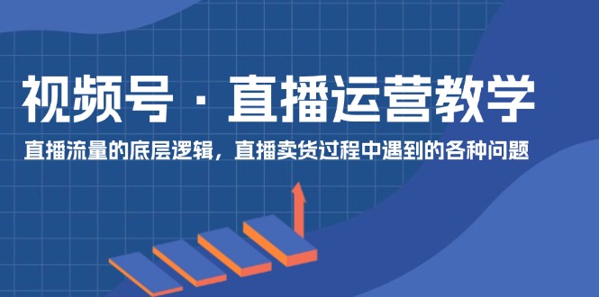 （11687期）视频号 直播运营教学：直播流量的底层逻辑，直播卖货过程中遇到的各种问题-小i项目网