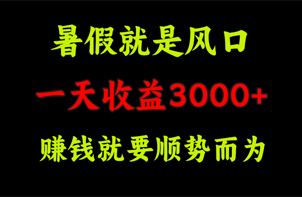 （11670期）一天收益3000+ 赚钱就是顺势而为，暑假就是风口-小i项目网