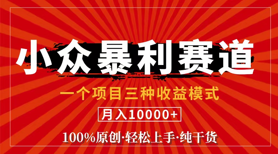 （11695期）视频号【中老年粉深信不疑】小众赛道 100%原创 手把手教学 新号3天收益…-小i项目网