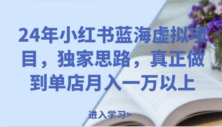 24年小红书的瀚海虚拟资源项目，独家代理构思，充分体现门店月入一万之上。-小i项目网