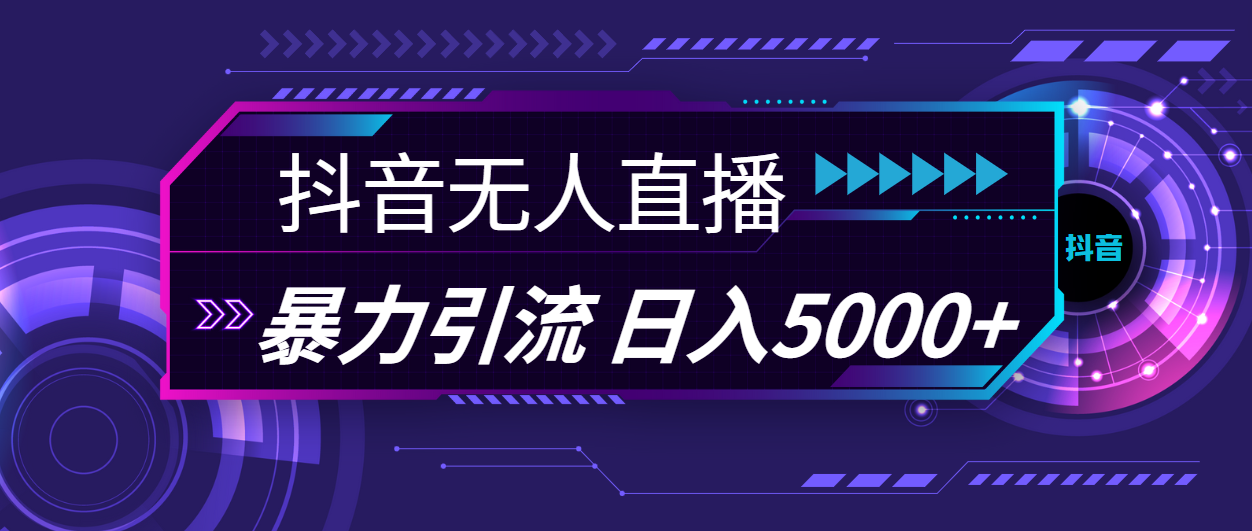 （11709期）抖音无人在线，爆利引流方法，日入5000-小i项目网