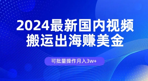 2024全新中国视频搬运出航赚美金，可批量处理月入3w-小i项目网