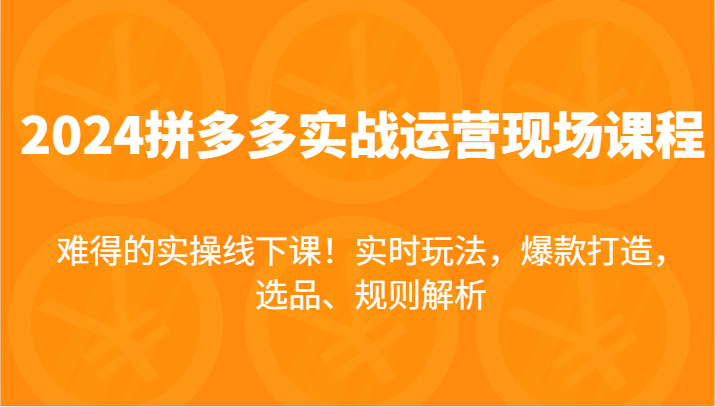 2024拼多多平台实战演练经营当场课，即时游戏玩法，爆款打造，选款、标准分析，不可多得的实际操作面授课！-小i项目网