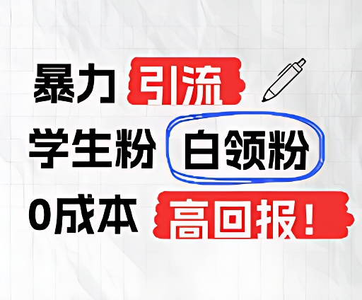 暴力行为引流方法学生们粉上班族粉，完爆过去废弃物游戏玩法，0成本费，高收益-小i项目网