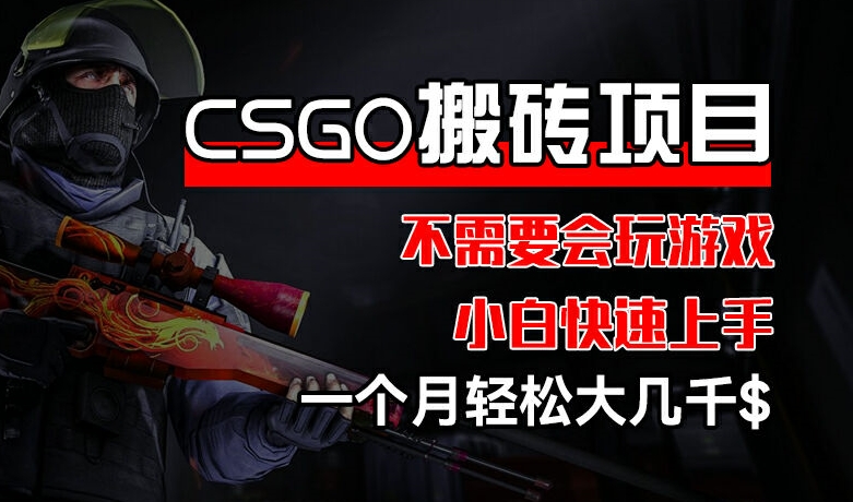 CSGO 装备搬砖项目，操作简单，不需要会玩游戏，小白也能快速上手，一个月轻松大几千【揭秘】-小i项目网