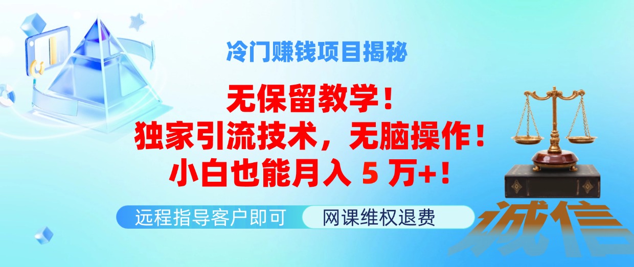 （11864期）冷门赚钱项目无保留教学！独家引流技术，无脑操作！小白也能月入5万+！-小i项目网