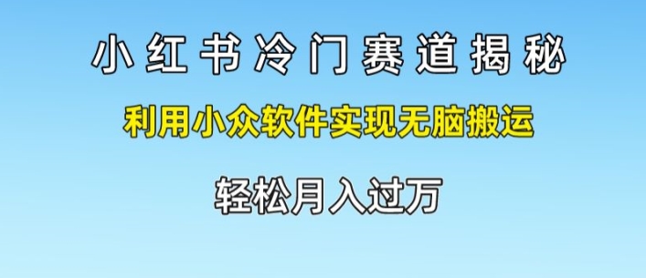 小红书的小众跑道揭密，运用小众软件完成没脑子运送，轻轻松松月入了万-小i项目网