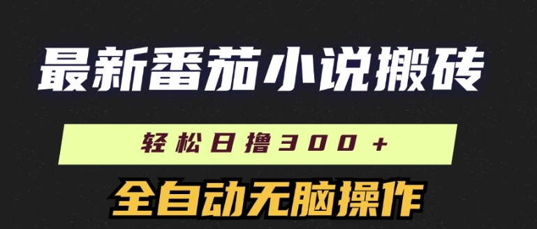 全新番茄小说打金，日撸300 ，自动式实际操作，可引流矩阵变大-小i项目网