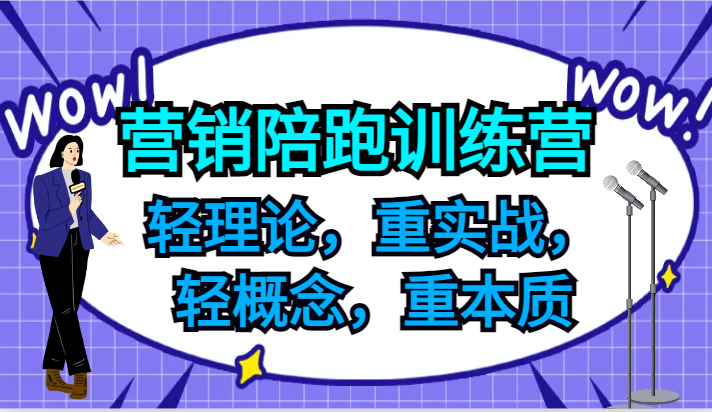 营销推广陪跑夏令营，轻基础理论，重实战演练，轻定义，重实质，适宜中小企业和初创企业的老总-小i项目网