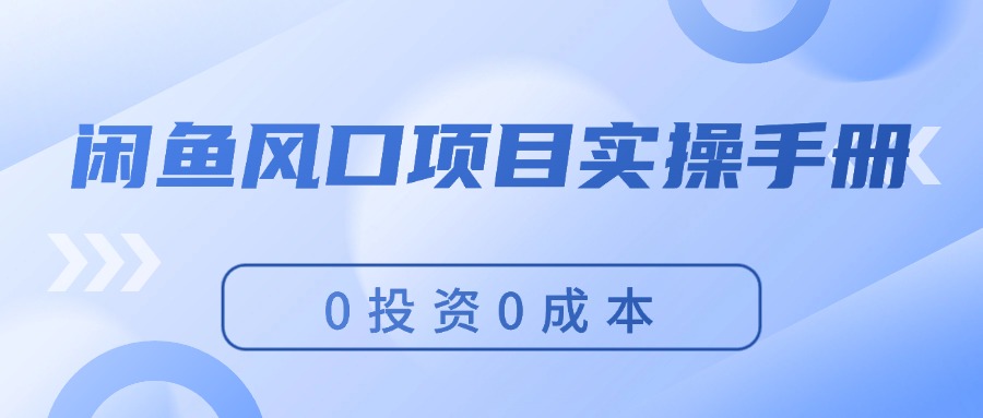 （11923期）闲鱼平台蓝海项目实际操作指南，0投入0成本费，使你保证，月入了万，初学者能做-小i项目网