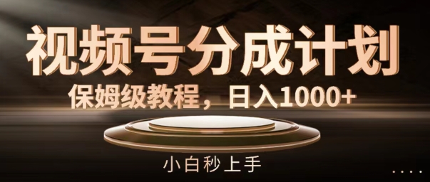 微信视频号分为方案家庭保姆级实例教程，日入1K，新手秒入门【揭密】-小i项目网