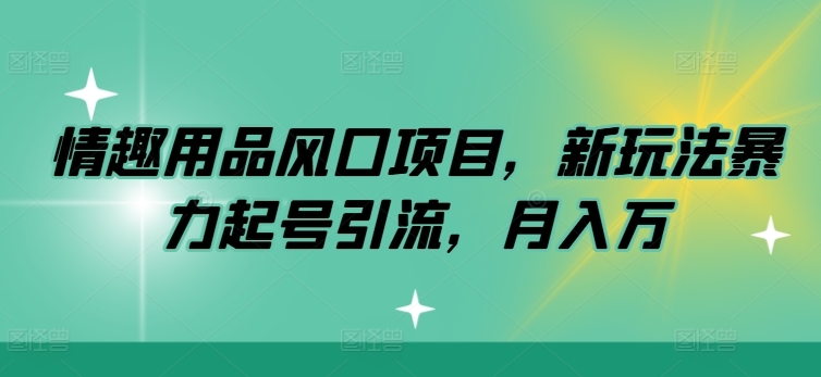 情趣用具蓝海项目，新模式暴力行为养号引流方法，月入万-小i项目网