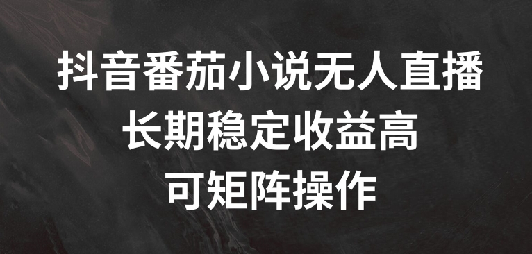 抖音视频番茄小说无人直播，长期性稳定盈利高，可引流矩阵实际操作【揭密】-小i项目网