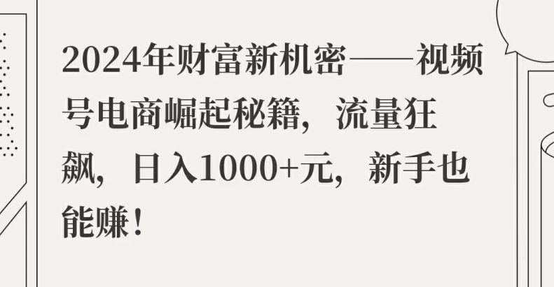 2024年财富新机密——视频号电商崛起秘籍，流量狂飙，日入1k元，新手也能赚-小i项目网