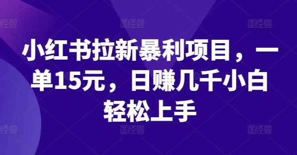 小红书的引流赚钱项目，一单15元，日赚好几千新手快速上手【揭密】-小i项目网