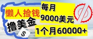 懒人捡钱撸美金项目，月收益9000+美金，简单无脑，干就完了【揭秘】-小i项目网