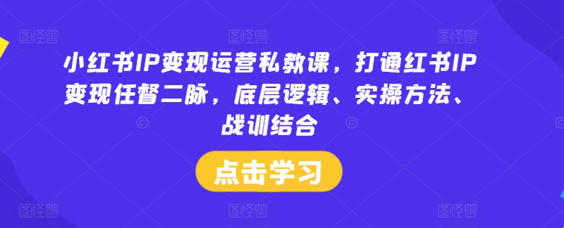 小红书IP变现运营私教课，打通红书IP变现任督二脉，底层逻辑、实操方法、战训结合-小i项目网