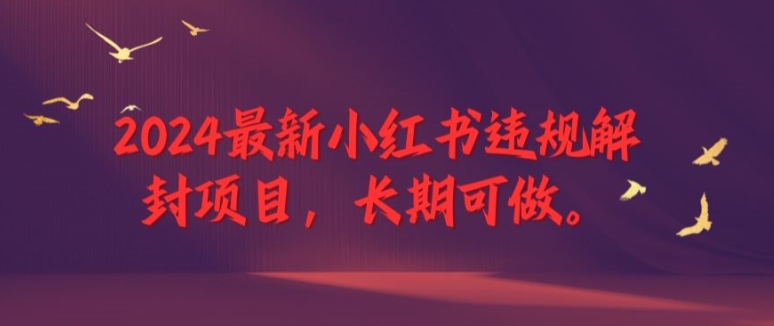 2024全新小红书违规解除限制新项目，长期性能做，一个能做到退休新项目【揭密】-小i项目网