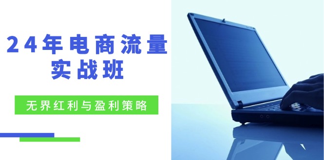 （12168期）24年电商流量实战班：无界 红利与盈利策略，终极提升/关键词优化/精准…-小i项目网