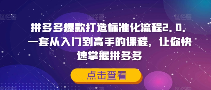 拼多多爆款打造出标准流程2.0，一套从入门到大佬的课程内容，让你快速把握拼多多平台-小i项目网