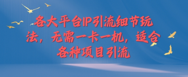 各个平台IP引流方法小细节游戏玩法，不用一卡一机，适用于各种新项目引流方法-小i项目网