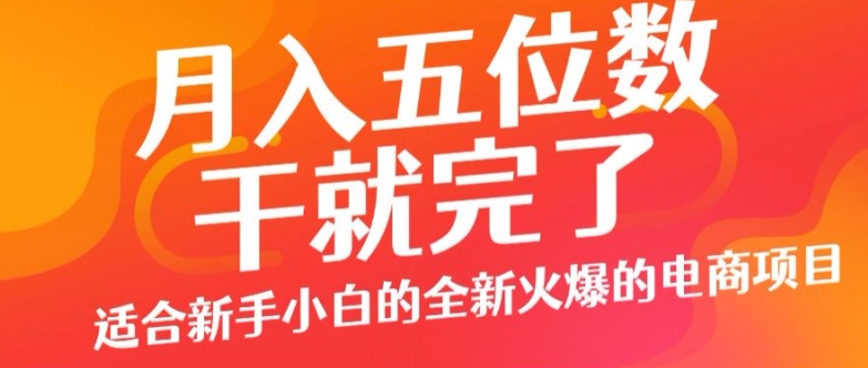 月入五位数，干就完了， 适宜新手入门一个全新的火热的电商项目-小i项目网