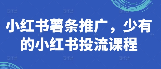 小红书的炸薯条营销推广，难得少有的小红书投流课程内容-小i项目网