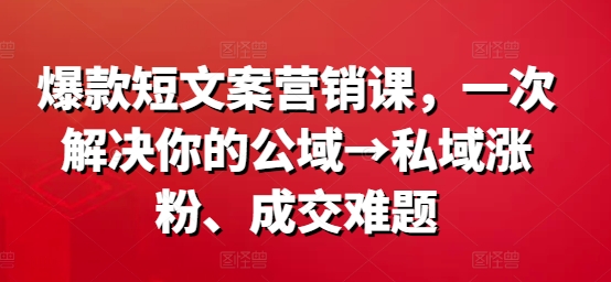 爆品短文案营销课，一次解决你的公域流量→公域增粉、交易量难点-小i项目网