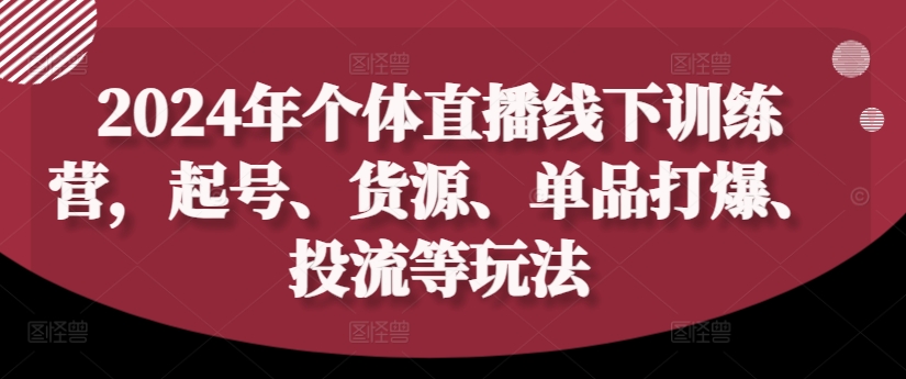 2024年个人直播间夏令营，养号、一手货源、品类打穿、投流等玩法-小i项目网